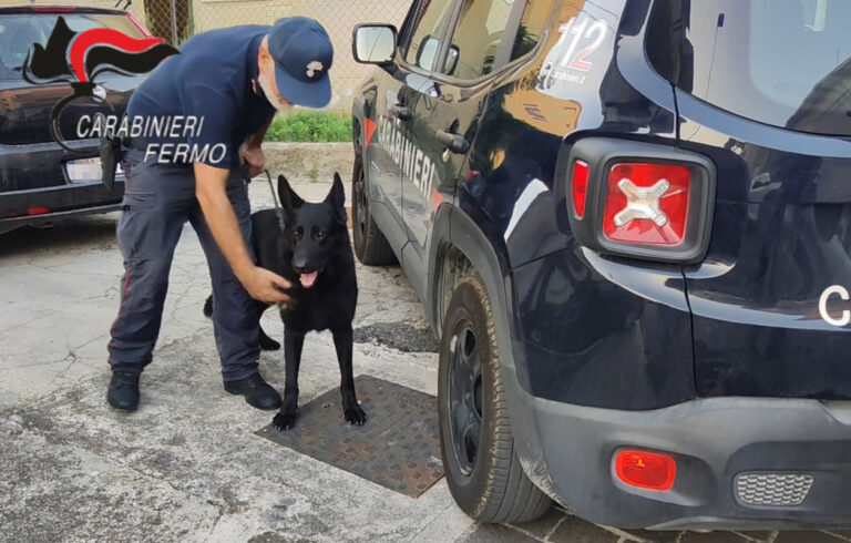 Fermo (Marche) 4 albanesi arrestati